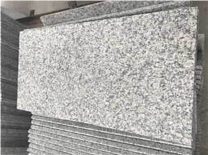 China Bianco Sardo Granite New G602 Granite Tiles