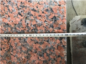 G562 Maple Red Granite Polished Flooring Tiles