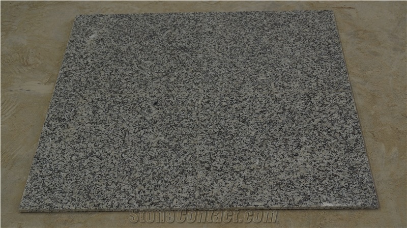 G602 New Bianco Sardo Granite Cut to Size