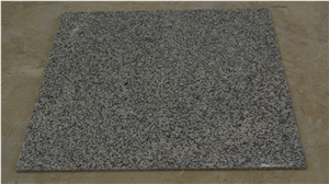 G602 New Bianco Sardo Granite Cut to Size