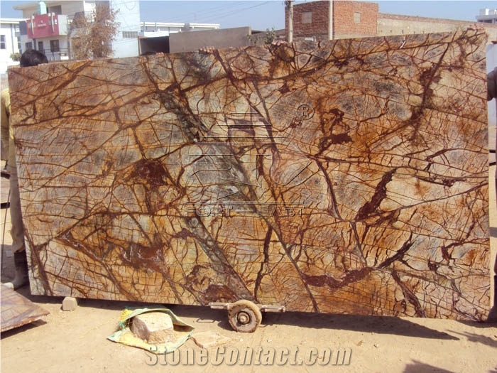 India Rainforest/Bidazar Brown Marble Slabs&Tiles