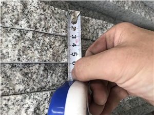 New Bianco Sardo, G602 Granite Polished Slabs