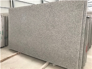 New G602 Bianco Sardo Big Granite Slabs
