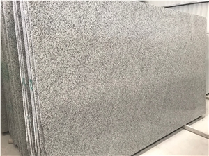 New G602 Bianco Sardo Big Granite Slabs