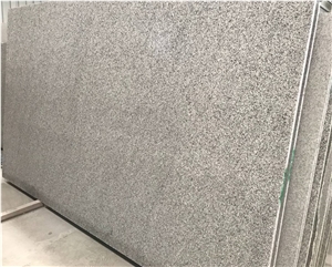 New G602 Bianco Sardo Big Granite Slabs