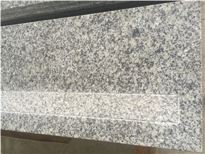 Grey G602/ New Bianco Sardo Polished Treads & Steps