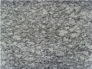 Seawave Spary White Granite Polished Tiles