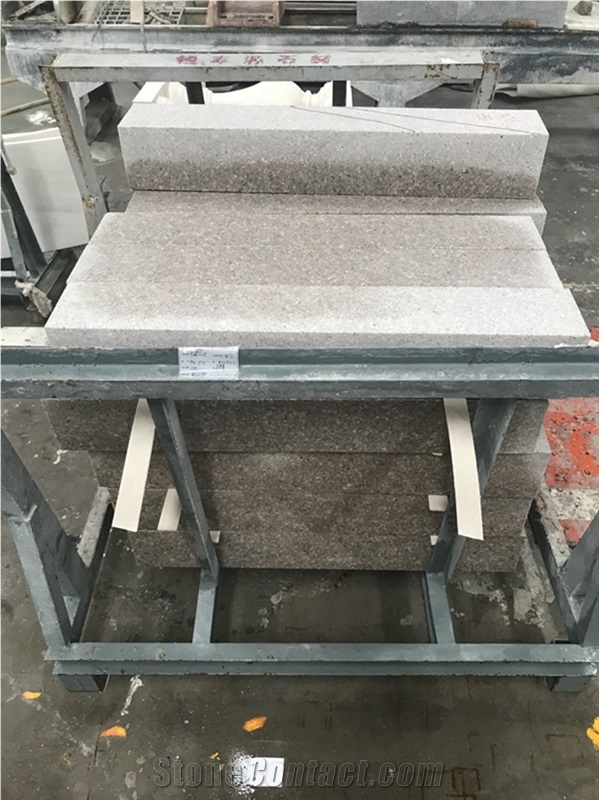 Xia Red Granite Slab and Tile for Project