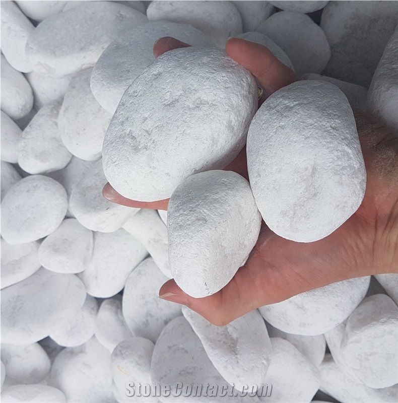 Natural White Pebble Stone from Viet Nam