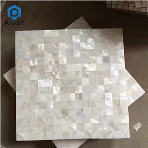 Beautiful Shell Mosaic Tiles for Interior Home