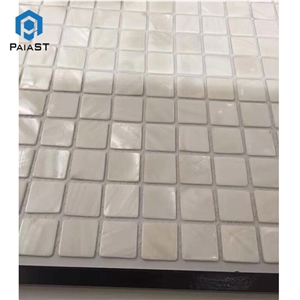 Beautiful Shell Mosaic Tiles for Interior Home
