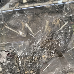 Beautiful Venice Brown Marble For Wall Tiles