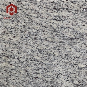 Best Price Santa Cecilia Light Granite Slab Tiles