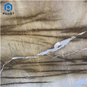 Brown And White Marble Slab For Interior Background Wall