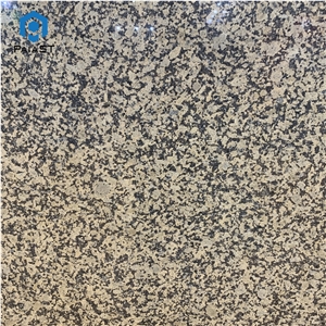 China Chrysanthemum Yellow Granite Slabs