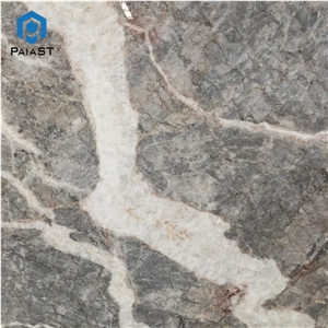 Customized Charles Pascal Grey Marble For Wall