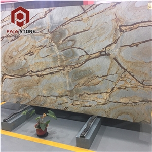 Exotic Stone Roman Impression Quartzite Slab For Wall