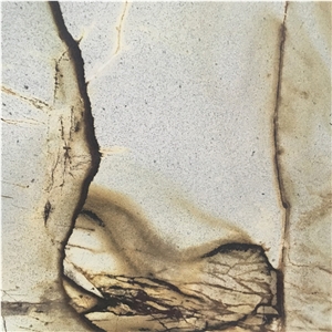 Exotic Stone Roman Impression Quartzite Slab For Wall