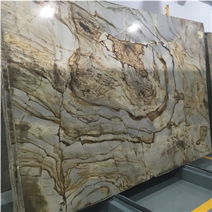 Exotic Stone Roman Impression Quartzite Slab For Wall