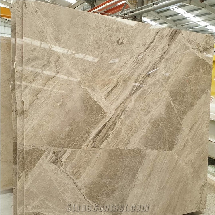 High Polished Natural Stone Diana Royal Marble