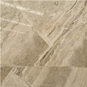 High Polished Natural Stone Diana Royal Marble