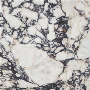 Italy Calacatta Viola Marble Slab Villa, Hotel