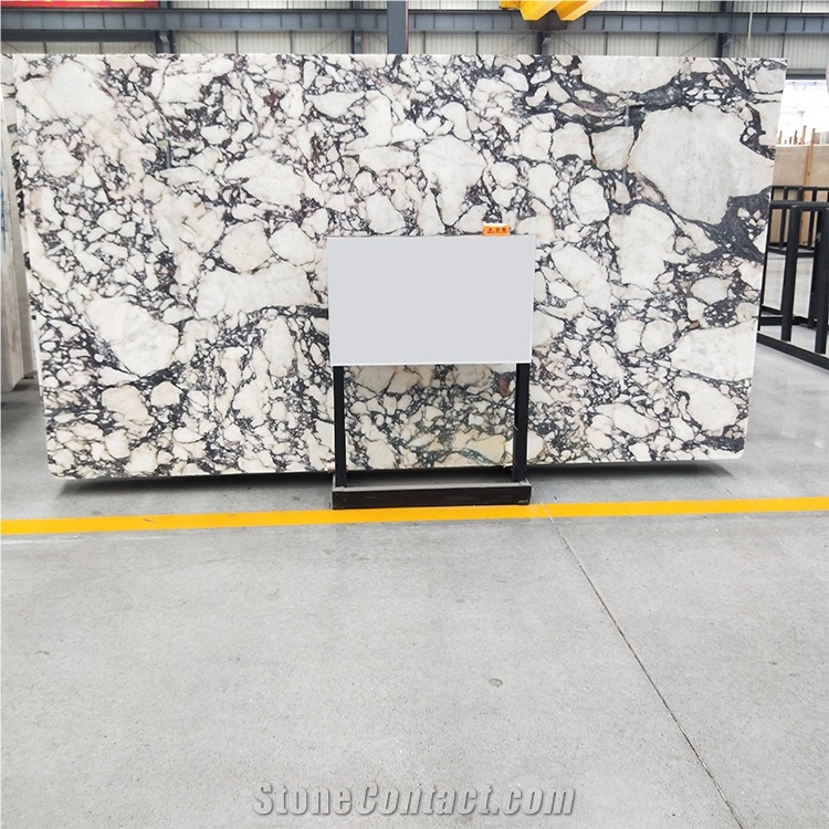 Italy Calacatta Viola Marble Slab Villa, Hotel