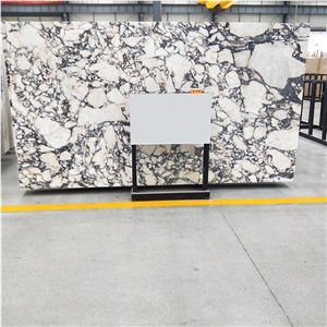 Italy Calacatta Viola Marble Slab Villa, Hotel