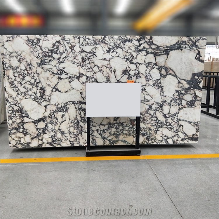 Italy Calacatta Viola Marble Slab Villa, Hotel