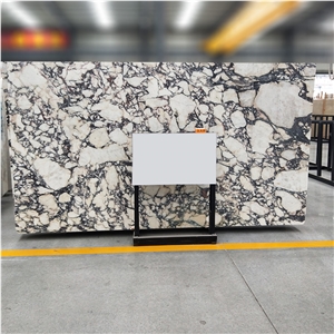 Italy Calacatta Viola Marble Slab Villa, Hotel