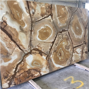 Gold Stone Wood Quartzite Slab For Wall Design
