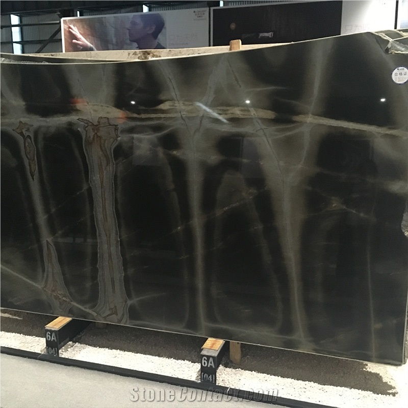 Polished Luxury Turtle Illusion Quartzite Exotic Stone