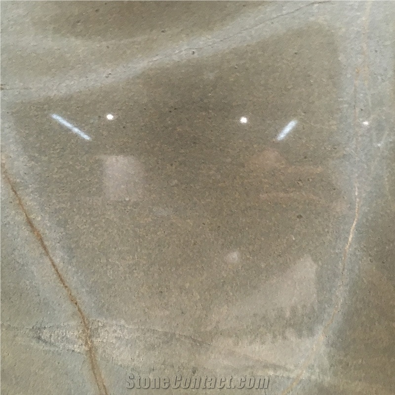 Polished Luxury Turtle Illusion Quartzite Exotic Stone