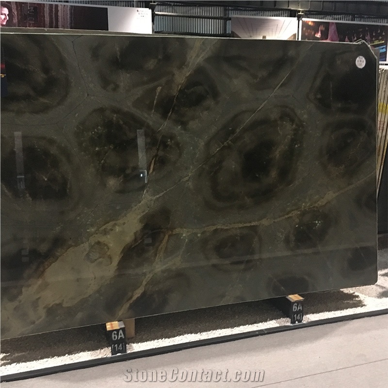 Polished Luxury Turtle Illusion Quartzite Exotic Stone