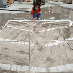 Silver Diana Marble Slab Tile For Background Wall