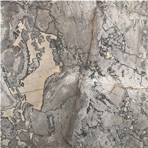 Versace Grey Marble Slab Lobby Floor Design