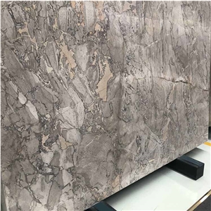 Versace Grey Marble Slab Lobby Floor Design