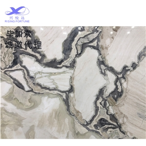 Italian Picasso Marble Slab Tiles Wall Floor
