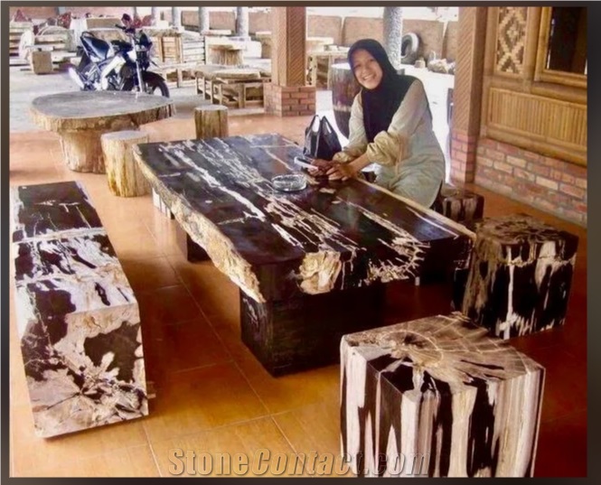 Petrified Wood Stone Chairs, Benches, Table Sets