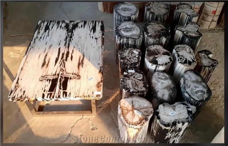 Petrified Wood Stone Chairs, Benches, Table Sets