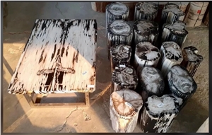 Petrified Wood Stone Chairs, Benches, Table Sets