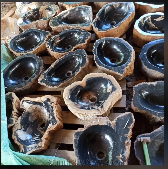 Petrified Wood Stone Sinks, Wash Basins