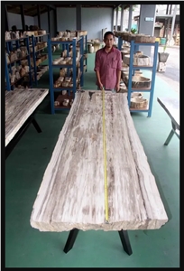 Petrified Wood Stone Slabs
