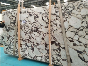 Calacatta Purple Marble Slabs/Tiles for Flooring