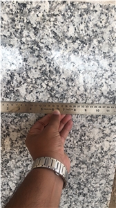 P White Granite Slabs & Tiles, India White Granite