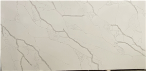 Calacatta Roma Quartz Stone Slabs