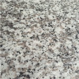 New G439 Bala Flower White Granite Slabs Tiles