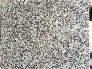 New G439 Bala Flower White Granite Slabs Tiles