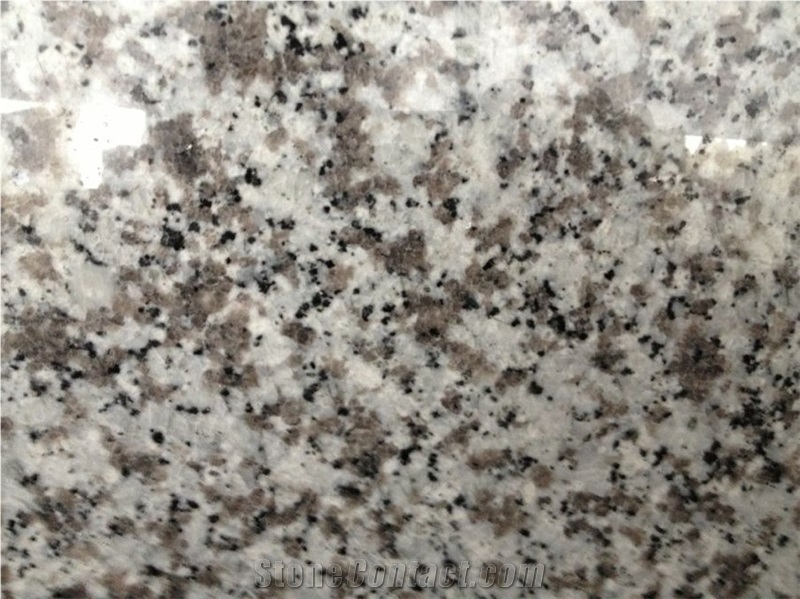 New G439 Bala Flower White Granite Slabs Tiles