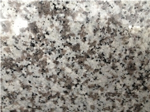 New G439 Bala Flower White Granite Slabs Tiles